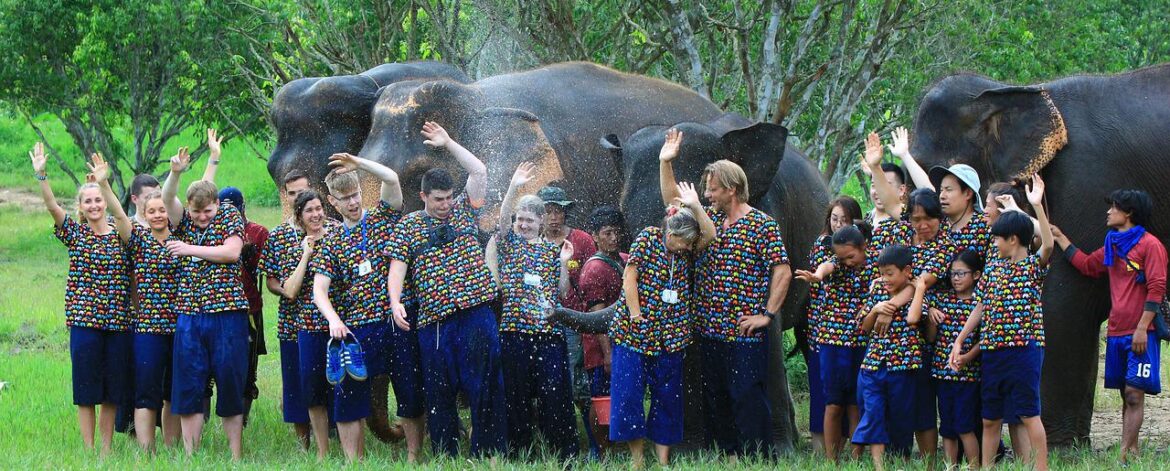 Elephants group