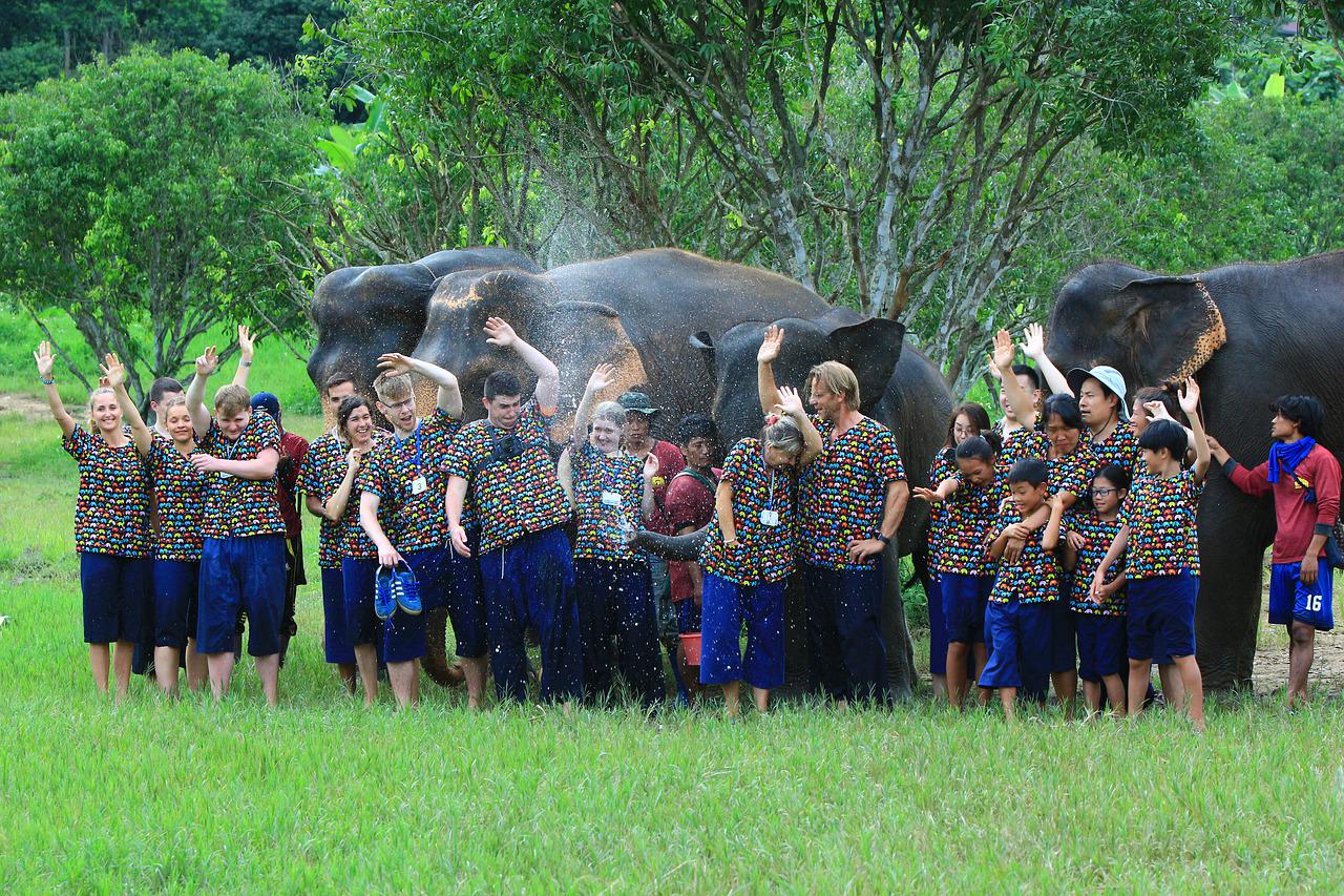 Elephants group